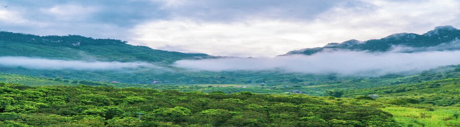 Beautiful tea plantation in Moc Chau, Vietnam